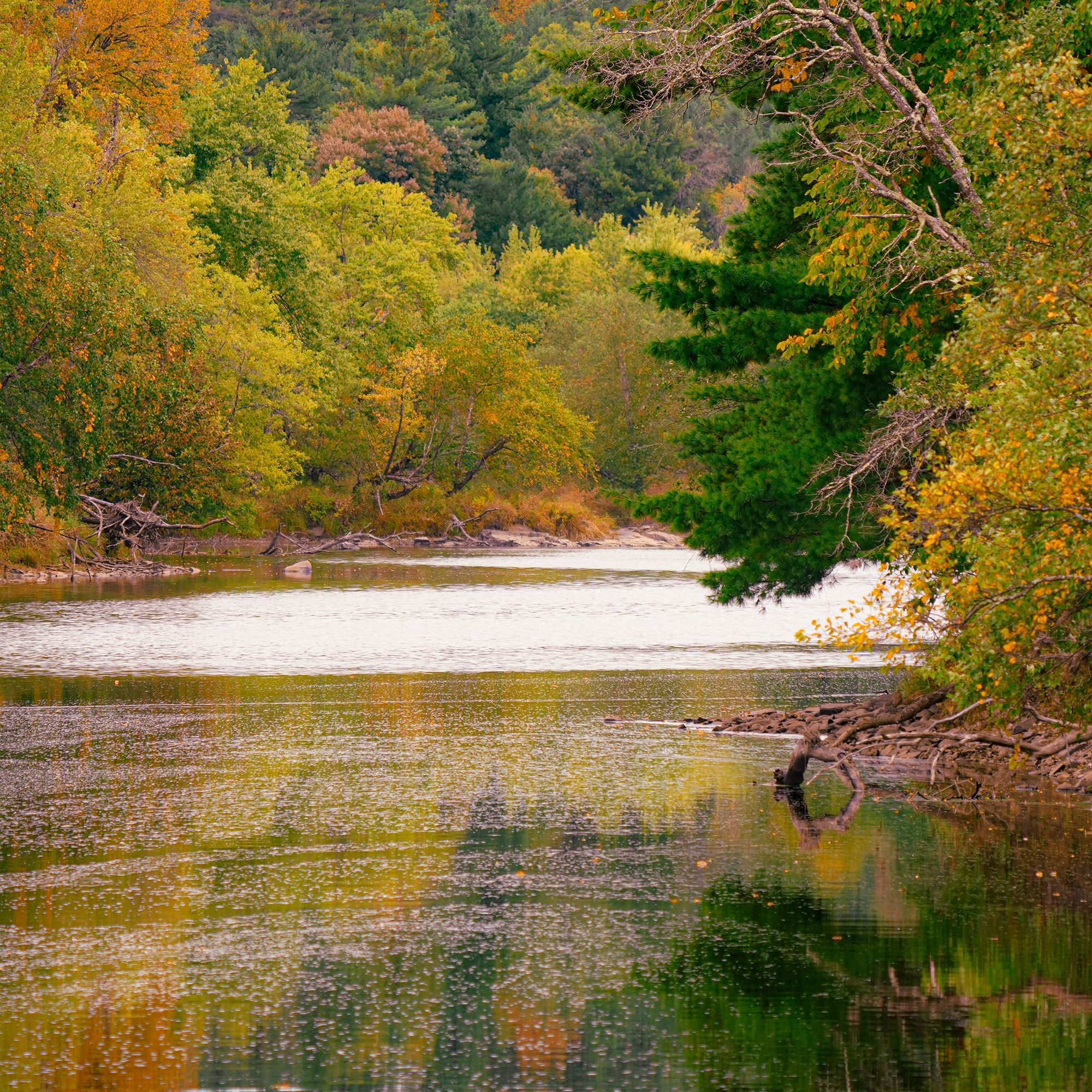 The Black River at Brickyard Road